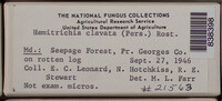 Image Associated With the Occurence